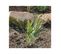 Bordure De Jardin En Métal Lawn 3m Lot De 6