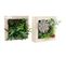 Tableau Avec Succulente Artificielle (lot De 2)