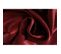Rideau Obscurcissant à Oeillets 135 X 250 Cm Estampillé Motif Contemporain Rouge Brique