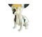 Statue Chien Chihuahua Coulures Argenté Et Doré H.30 Cm - Beverly 03