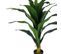 Yucca Plante Tropicale Artificielle Hauteur +/- 80 Cm - Yuko