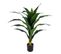 Yucca Plante Tropicale Artificielle Hauteur +/- 80 Cm - Yuko