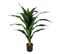 Yucca Plante Tropicale Artificielle Hauteur +/- 80 Cm - Yuko