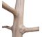 Porte-manteau Branche D'arbre En Bois De Teck Brut 200 Cm - Mira