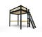 Lit Mezzanine Alpage Bois + Échelle Hauteur Réglable, Couleur: Noir/miel, Dimensions: 140x200