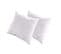 Lot De 2 Oreillers Natura 65x65 Cm Duvet et Plumess