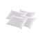 Lot De 4 Oreillers Natura 45x70 Cm Duvet et Plumess