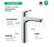 Lot 2 Mitigeur Lavabo Hansgrohe Focus H190 Eco C3, Avec Tirette Chromé