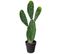 Plante artificielle cactus en polyéthylène, vert - Hauteur : 60 cm