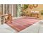 Tapis Multocolore Rose Extérieur Capri 120x160