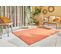 Tapis Pliable Corail Extérieur Capri 120x160