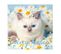 Lot De 20 Serviettes Papier Sweety Cat