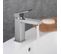 Robinet Mitigeur Lavabo Simple Nickel Brossé - Sirius