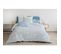 Adonis Parure De Couette 100% Coton - Bleu - 220x240 Cm