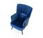 Fauteuil Lounge En Velours Bleu Avec Dossier Imprimé Florael