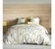 Housse De Couette 220x240 Cm + 2 Taies D'oreiller 63x63 Cm Coton Colize