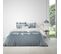 Housse De Couette 220x240 Cm + 2 Taies D'oreiller 63x63 Cm Coton 57 Fils Mist