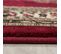 Marrakesh - Tapis D'orient 0297 - Rouge 200 X 290 Cm