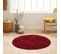 Shaggy - Tapis Uni Rond - Rouge 200 X 200 Cm