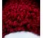Shaggy - Tapis à Bordures - Rouge 160 X 230 Cm