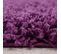 Shaggy - Tapis Uni à Poils Longs - Violet 120 X 170 Cm