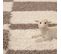 Roma - Tapis Shaggy à Motifs Traits - Beige Et Ivoire 160 X 230 Cm