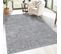 Tapis à Poils Longs Softy Gris Souris 120x170cm