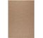 Tapis De Salon Aspect Jute Naturelle Beige 200x290cm