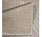 Tara - Tapis De Salon à Relief Palmier Couleur Uni Beige 120x160cm