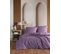 Parure De Lit Uni - Violet - 220x240