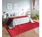 Tapis Uni Rouge Lavable Doux - Loft Rouge - 200x290 Cm