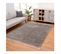 Tapis Shaggy Uni Gris Anthracite - Shaggy Pulpeuse 100 Gris - 140x200 Cm