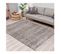 Tapis Shaggy Gris Crème - Shaggy Pulpeuse 524 Gris - 120x170 Cm