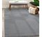 Tapis Lavable Gris Oslo 1904 Gris - 120x170 Cm