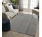 Tapis Lavable Gris Oslo 1904 Gris - 120x170 Cm