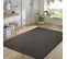 Tapis Extérieur Intérieur Gris Anthracite Tokyo 02 Gris - 200x290 Cm