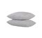 Ensemble Matelas Mousse Eco - 160x200 Et 2 Oreillers 50x70 - Mousse Et Sommier Noir