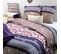 Housse De Couette 220x240 Cm + Taies D'oreiller, Coton 47 Fils, Jaita