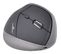 Souris Ergonomique Sans Fil Bluestork Optique 1 200 Dpi 6 Boutons PC/mac - M-wl-ergo-bk