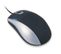 Souris Desktop Silk Mouse Souris Ambidextre Usb Type-a Optique 800 Dpi