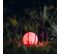 Balise Solaire Ezilight® Solar Deco Ball