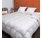 Couette Hiver Oie 140x200 Cm 90% Duvet Neuf