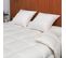 Couette Hiver Oie 140x200 Cm 90% Duvet Neuf