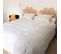 Couette King Size Été Oie 300x250 Cm 90% Duvet Neuf