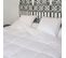 Couette Fraicheur - Canard 260x240 Cm 90% Duvet Neuf