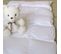 Couette 100x140 Enfant 90% Duvet Neuf