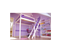 Lit Mezzanine Sylvia Avec Escalier De Meunier Bois, Couleur: Blanc/lilas, Dimensions: 160x200