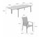 Salon De Jardin Table Extensible - Washington Gris Foncé - Table En Aluminium 200/300cm. Plateau En