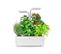 Potager d'intérieur Véritable® Smart Arctic White - Made in France