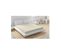 Drap Housse Microfibre Beige - 160x200